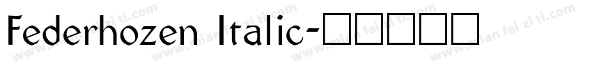 Federhozen Italic字体转换